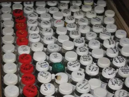 Oil samples in storage at the laboratory